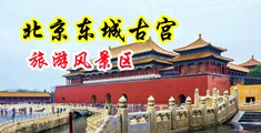 欧美性爱草中国北京-东城古宫旅游风景区